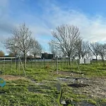 Mobil 4 Pers Avec Terrasse - Cuisine Equipee - Api-1-52-1715 *